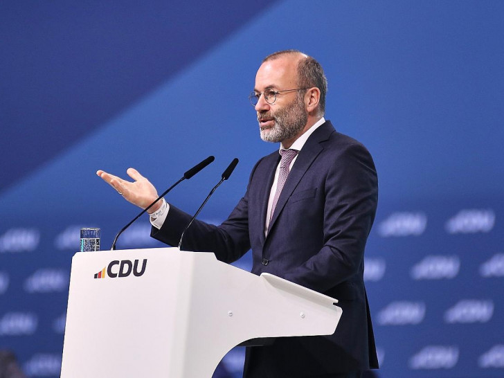 Manfred Weber (Archiv)