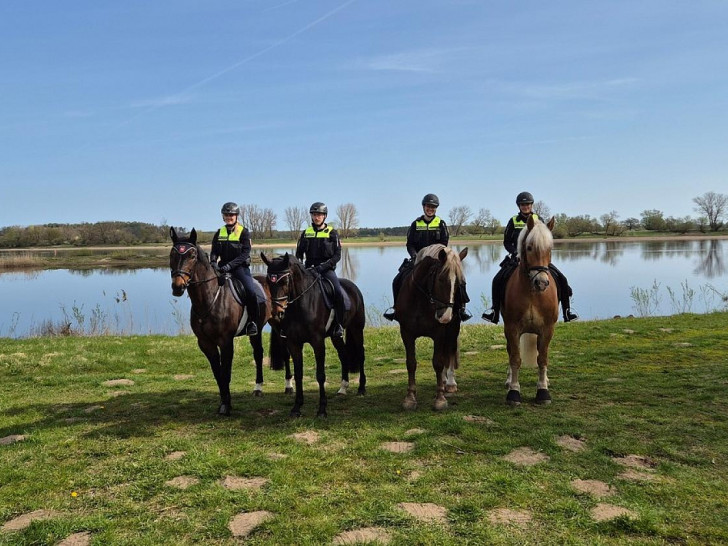 Reiterstaffel im Biosphärenreservat "Niedersächsische Elbtalaue" (Archiv)