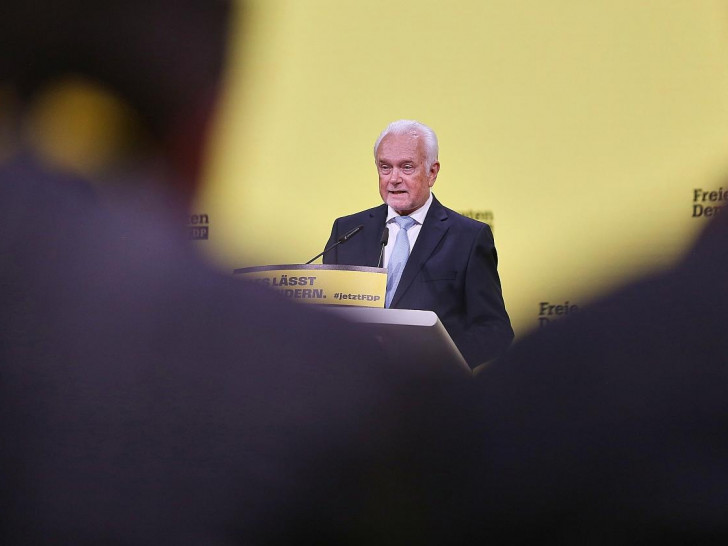 Wolfgang Kubicki (Archiv)