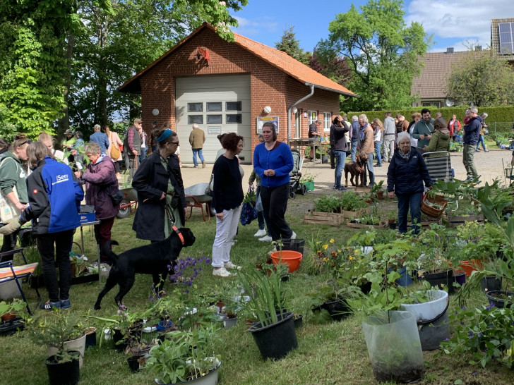 Aussteller präsentieren selbstgezogene Pflanzen, Blumen und Kräuter.