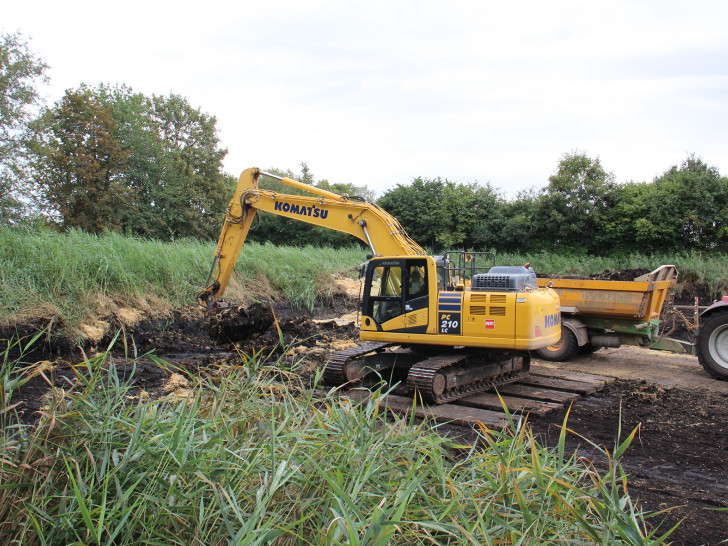 Das benachbarte Beet in Soßmar wurde 2024 geräumt – ein ähnliches Bild wird sich auch jetzt wieder zeigen: Der Bagger gräbt die Klärschlammerde mit Schilf ab und verlädt sie.