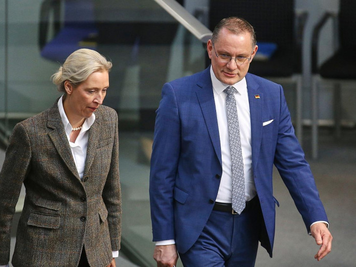 Alice Weidel und Tino Chrupalla (Archiv)