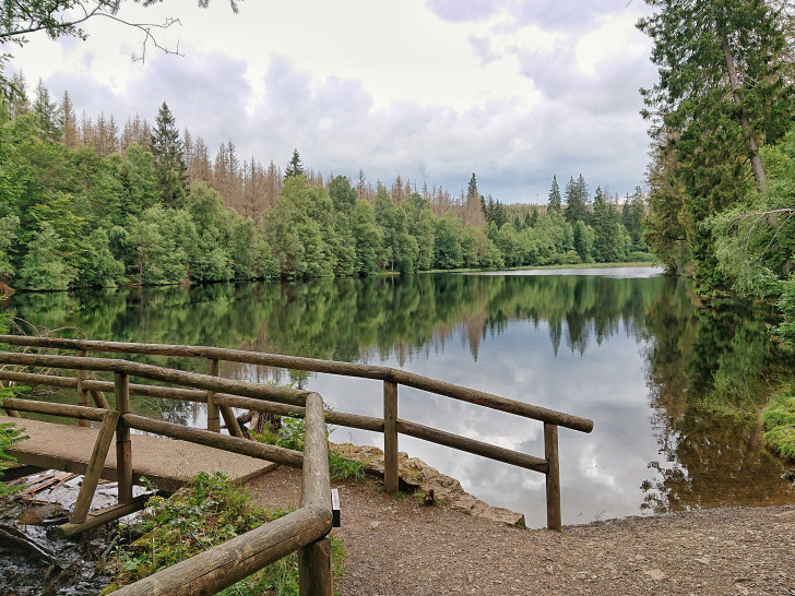 Der Silberteich bei Braunlage ist vom Naturmythenpfad des Nationalparks Harz umgeben. Hier befindet sich ein Stempelkasten der Harzer Wandernadel, in dem ab dem 22. April auch ein Sonderstempel des Geoparks HBLO auf Teilnehmende der Wander-Challenge 2026 wartet.