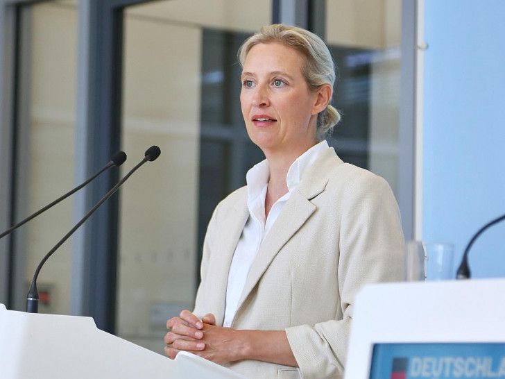 Alice Weidel (Archiv)