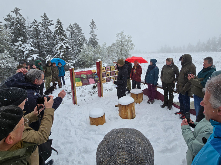 Der Wintereinbruch im Mai im Oberharz gab dem Spaziergang zu einer der neuen Wildnis-Entdeckerstationen am Torfhausmoor eine besondere Kulisse.