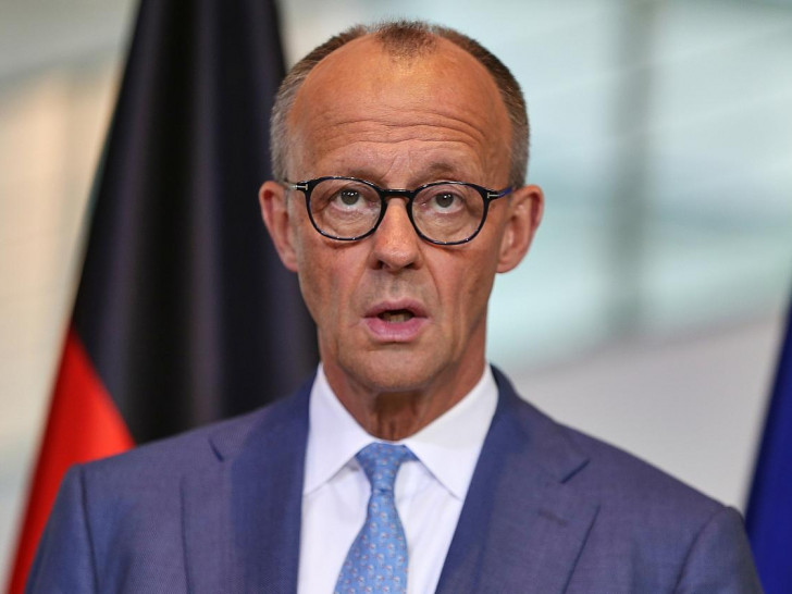 Friedrich Merz (Archiv)