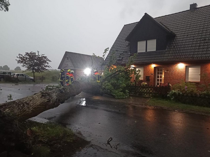 Ein umgestürzter Baum (Archiv)
