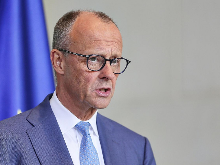 Friedrich Merz (Archiv)