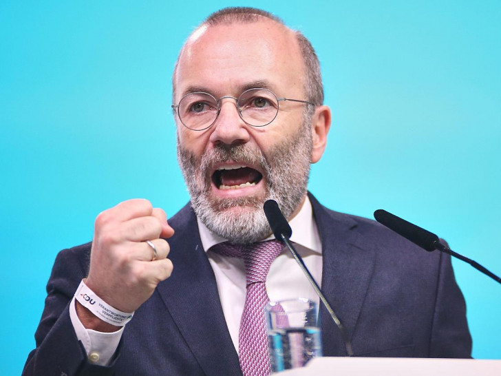 Manfred Weber (Archiv)