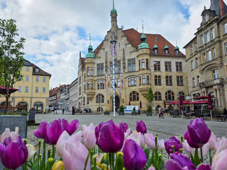 Das Helmstedter Rathaus.