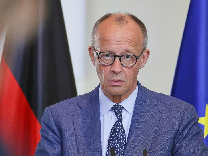 Friedrich Merz (Archiv)