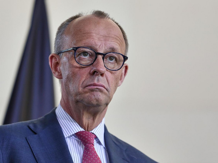 Friedrich Merz (Archiv)