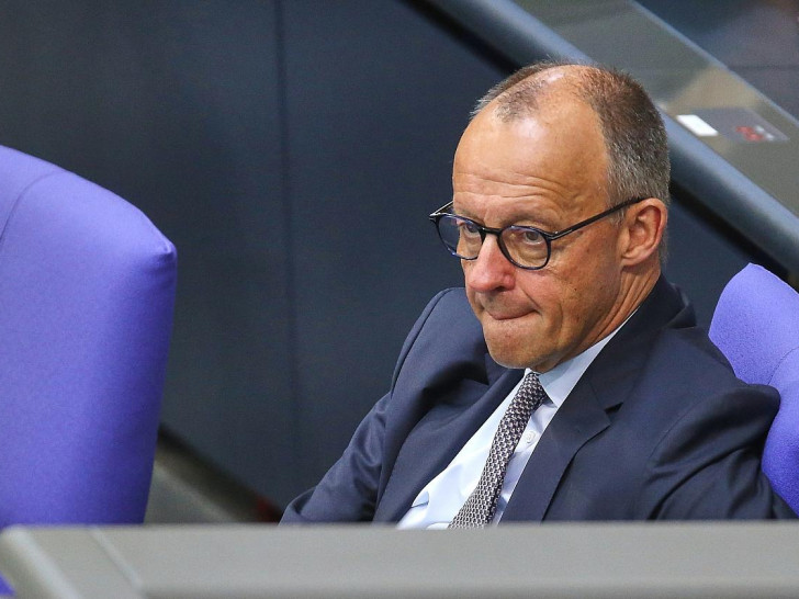 Friedrich Merz (Archiv)