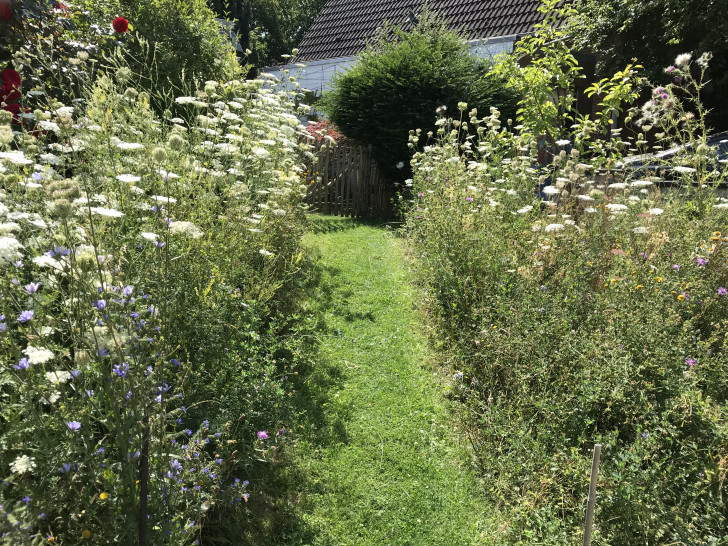 "Naturnahe Vorgärten": Der Gartenwettbewerb der Gemeinde Lehre geht in die Verlängerung.