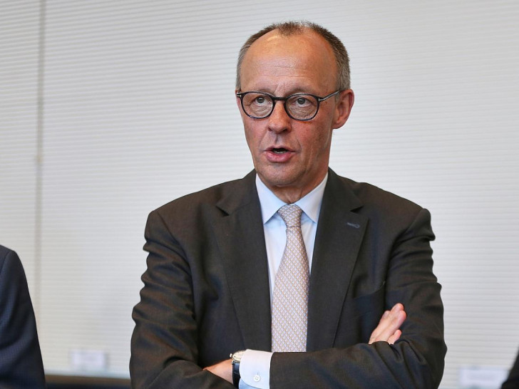 Friedrich Merz (Archiv)