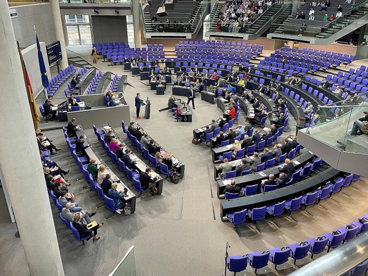 Bundestagssitzung (Archiv)