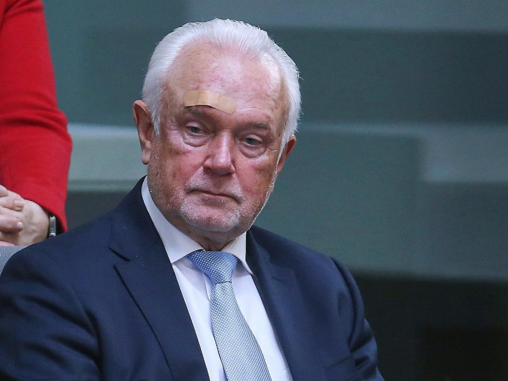 Wolfgang Kubicki (Archiv)