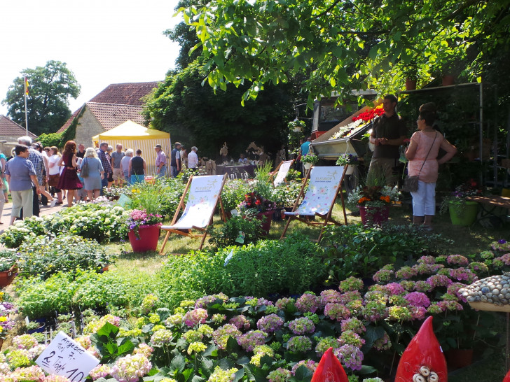 Das Gartenfestival in Schöningen bietet eine große Vielfalt an Ausstellern.