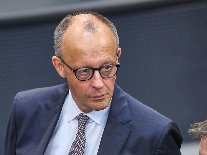 Friedrich Merz (Archiv)