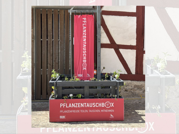 Die Pflanzentauschbox am Stadtmuseum.