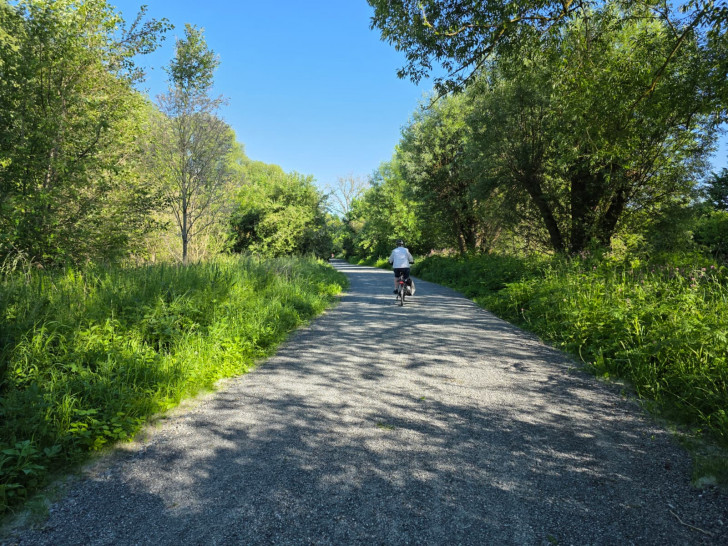 Der Große Okerwanderweg in Wolfenbüttel ist wieder frei.