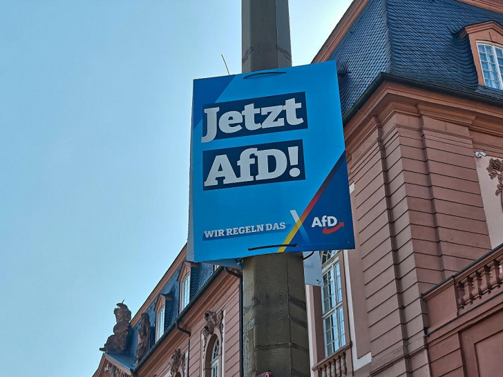 AfD-Plakat (Archiv)