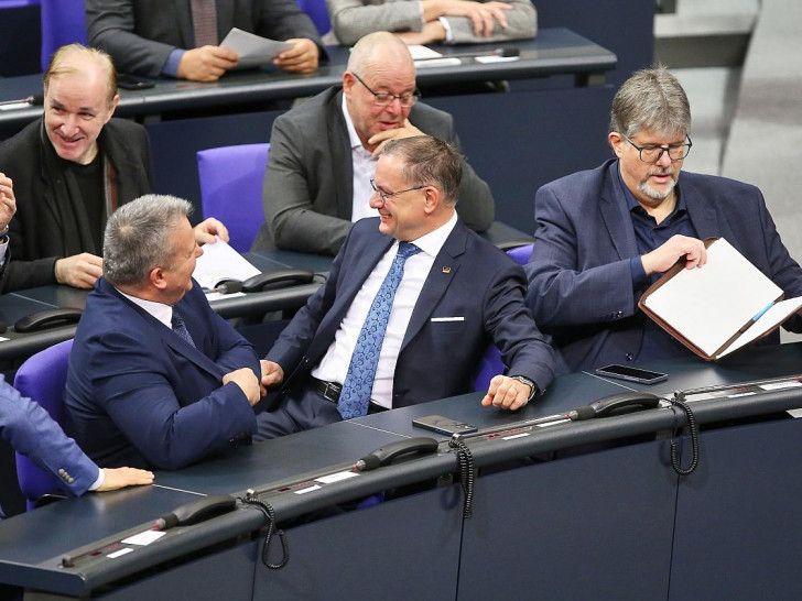 AfD-Fraktion (Archiv)