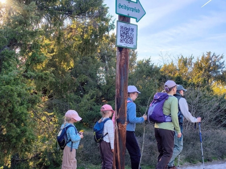 Am Tag des Wanderns geht es durch die Südheide.