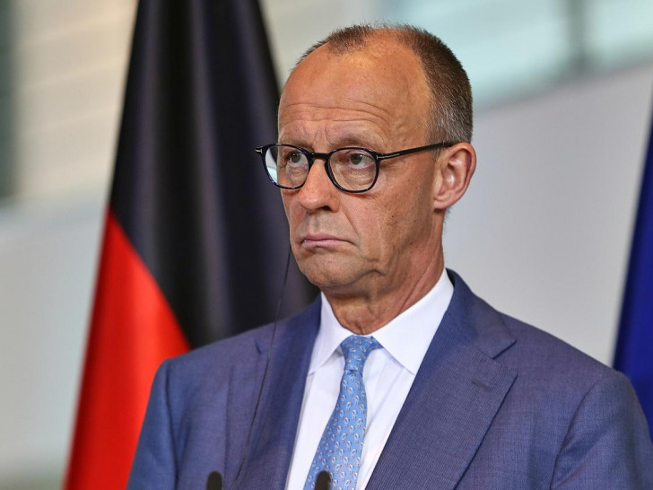 Friedrich Merz (Archiv)