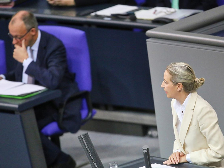Friedrich Merz und Alice Weidel (Archiv)