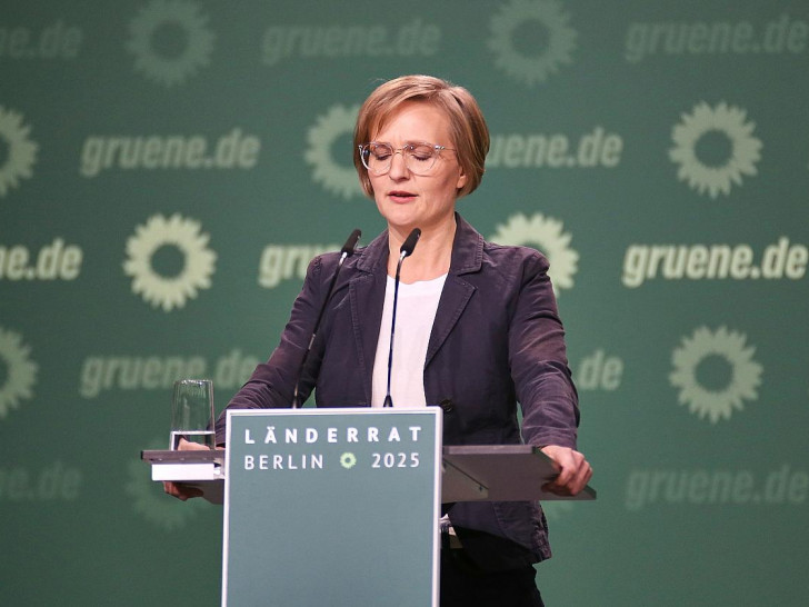 Franziska Brantner (Archiv)