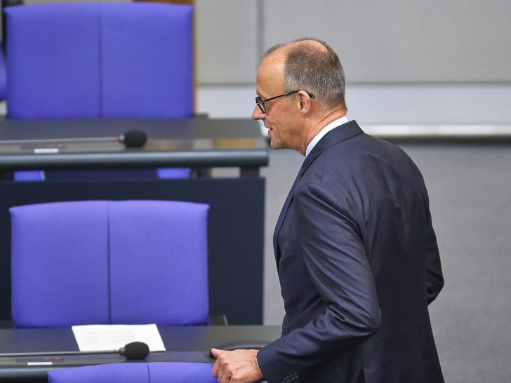 Friedrich Merz (Archiv)