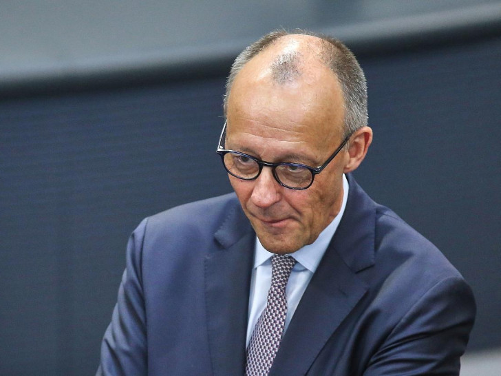 Friedrich Merz (Archiv)