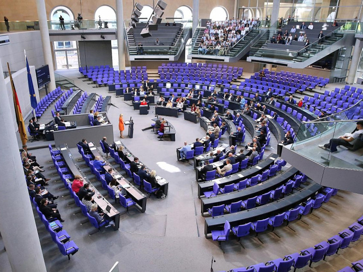 Bundestagssitzung (Archiv)