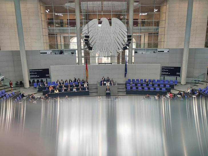 Bundestagssitzung (Archiv)