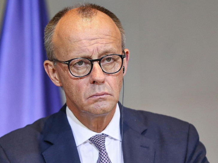 Friedrich Merz (Archiv)