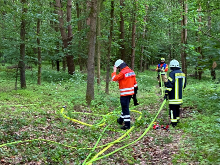 Die Feuerwehrkräfte bauten über 1000 Meter eine Leitung zur Wasserversorgung an die Einsatzstelle auf.