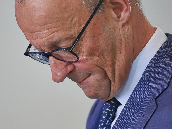 Friedrich Merz (Archiv)