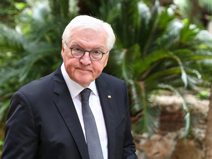 Frank-Walter Steinmeier (Archiv)
