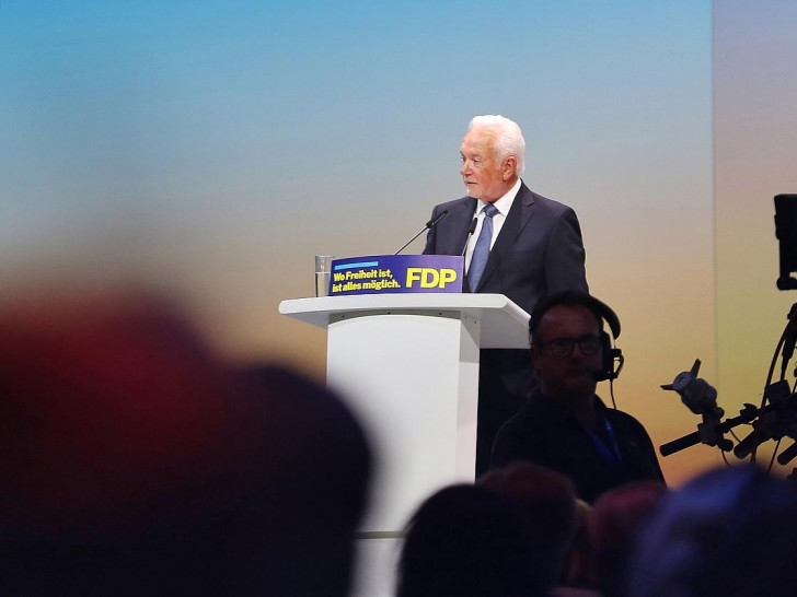Wolfgang Kubicki (Archiv)