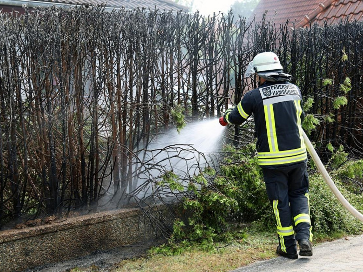 Nachlöscharbeiten an der abgebrannten Thuja-Hecke. (Archiv)