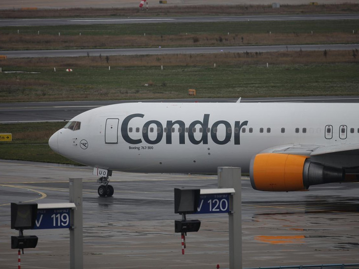 Condor (Archiv)