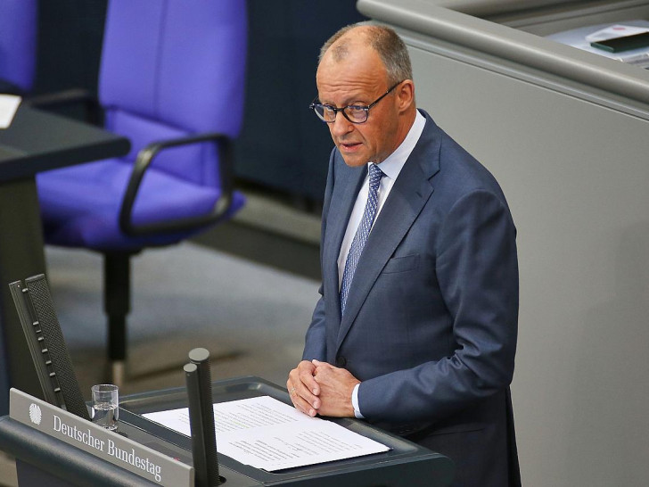 Friedrich Merz (Archiv)