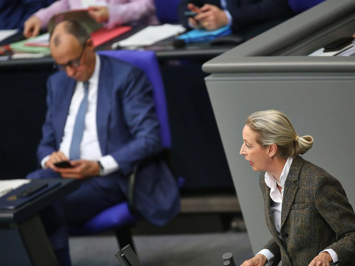 Friedrich Merz und Alice Weidel (Archiv)
