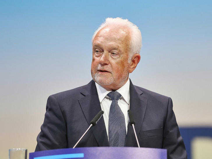 Wolfgang Kubicki (Archiv)