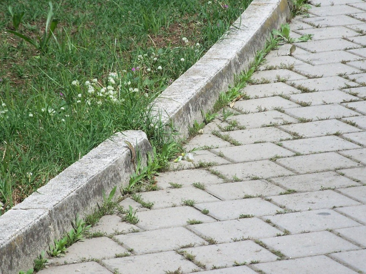 Symbolfoto