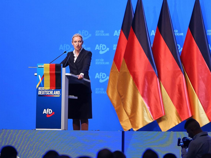 Alice Weidel am 04.07.2026