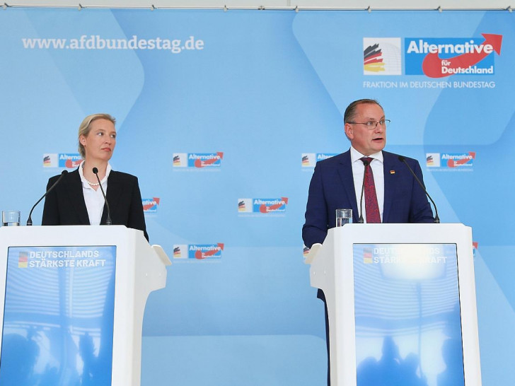 Alice Weidel und Tino Chrupalla (Archiv)