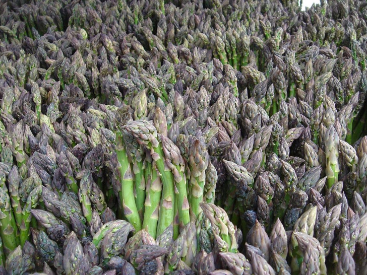 Spargel (Archiv)