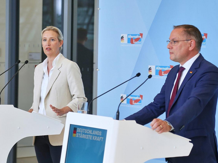 Alice Weidel und Tino Chrupalla (Archiv)